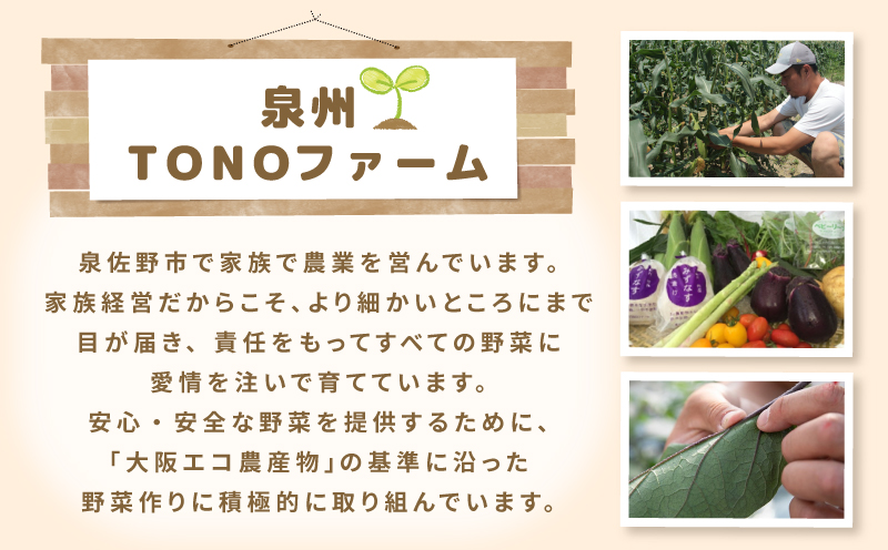 【定期便】泉州TONOファームが贈る定期便 野菜とフルーツの旬の味リレー【7月〜10月発送 水ナス トウモロコシ 枝豆 いちじく 茄子 とうもろこし 豆 イチジク なす 新鮮 泉州 やさい フルーツ】