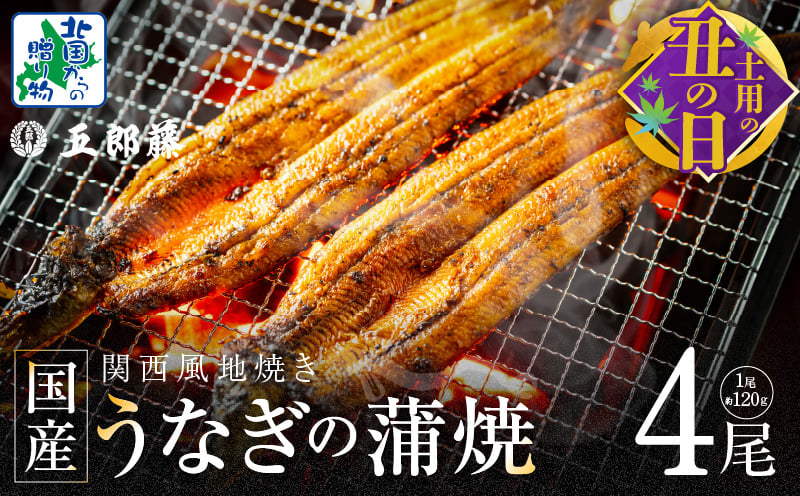 【7/26土用の丑の日】老舗「五郎藤」関西風地焼き 国産有頭旨鰻 計約480g前後【120g×4尾 うなぎ ウナギ 蒲焼き 炭火】
