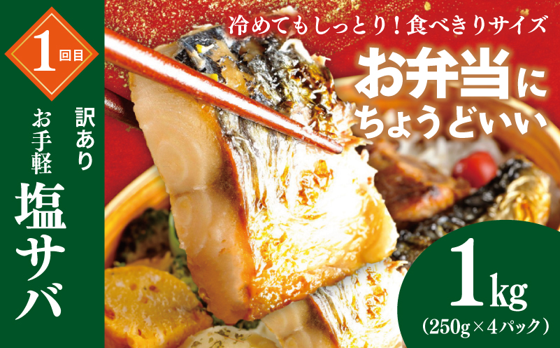【定期便】栄物産のメッチャえ〜やん定期便 全4回【サバ 鯖 さば チャーハン 炒飯 つくね 鶏 牛丼 冷凍 惣菜 おかず 弁当 おつまみ 鍋具材 大阪 泉佐野 大阪府 泉佐野市】