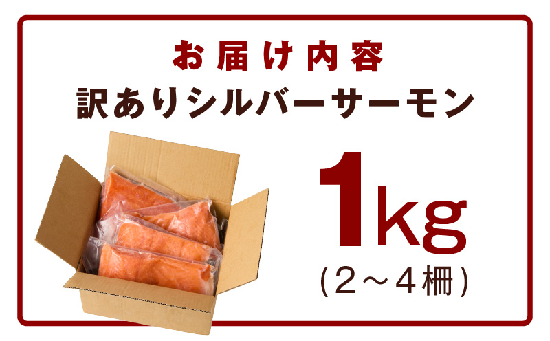 ãèš³ãããçé£çš ã·ã«ããŒãµãŒã¢ã³ 1kg ããŒã·ã§ã³ãå°åã 2-4æµ ãµã€ãºäžæã éé® åºèº«çš ãåºèº« éä» æµ·é®®ã