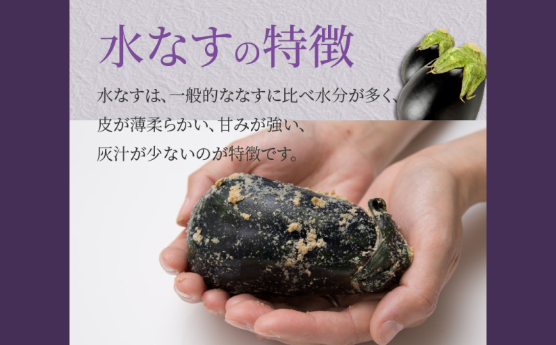 水なす浅漬け5個と水なす染め泉州タオルセット【新鮮 野菜 泉佐野産 茄子 やさい 高評価 数量限定】