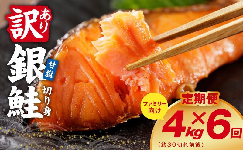 【定期便】銀鮭 切り身 4kg(約30切れ前後) 全6回【訳あり 規格外 甘塩 バラ凍結 海鮮 魚介 鮭 さけ しゃけ お弁当 朝食 おかず 簡単調理 家計応援 大阪 泉佐野 大阪府 泉佐野市】