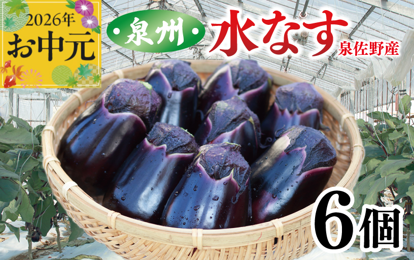 【お中元対応】泉州 泉佐野市産 ハウス水なす 6個【茄子 泉佐野産 とれたて 新鮮野菜 やさい 高評価】