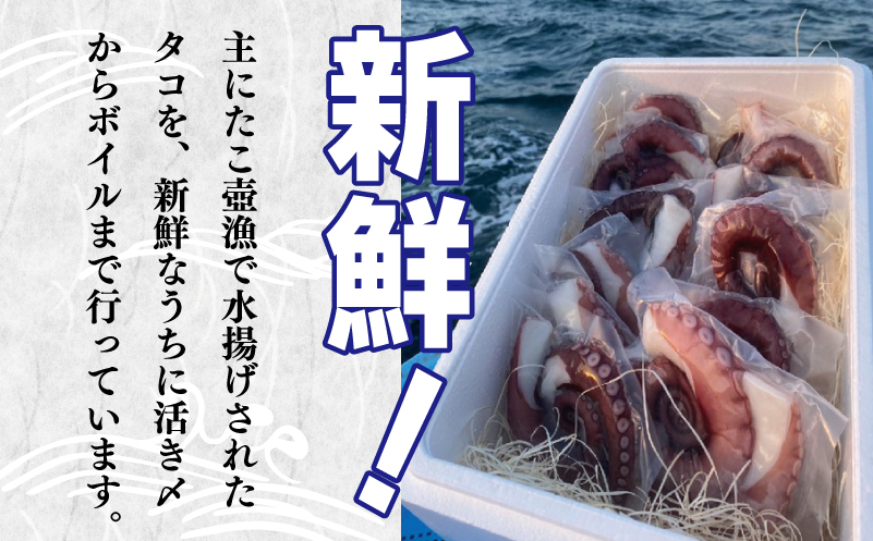 冷凍ボイルタコ 足のみ 合計1kg（100g前後×7〜14パック）たこ 刺身 個包装 酒の肴 酢の物 唐揚げ たこぶつ