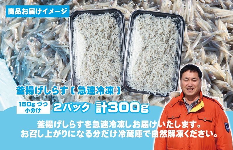 【お試し】減塩 釜揚げしらす 300g【小分け 150g×2P シラス しらす sirasu 海鮮 人気 おすすめ 産地直送 スピード発送】