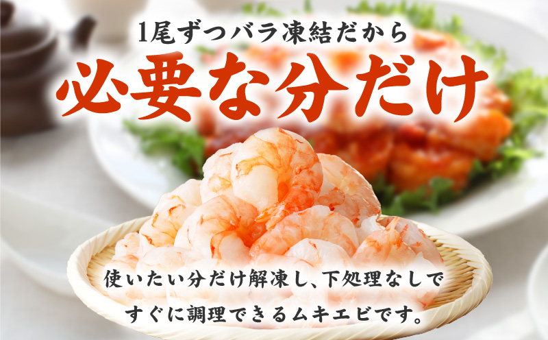 銀鮭切り身 1kg＆特大ブラックタイガー 500g【鮭 さけ しゃけ お弁当 むきえび お試し 簡単調理 背ワタなし 訳あり サイズ不揃い 冷凍 時短 エビ 海鮮 大阪 泉佐野 大阪府 泉佐野市】