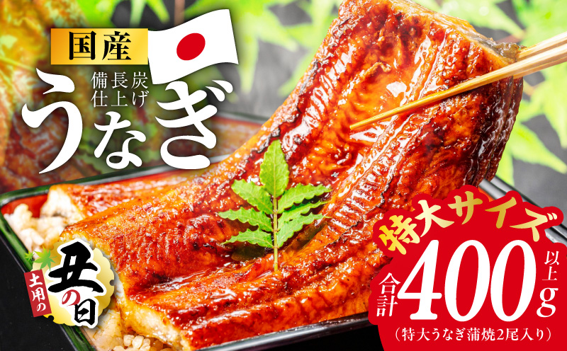 【土用の丑の日までにお届け】国産うなぎ 特大2尾 400g以上【特製タレ付 蒲焼 鰻 ウナギ 炭火焼き 備長炭 手焼き レンジ 温めるだけ 簡単調理】