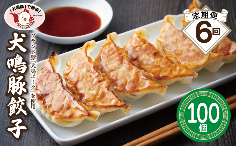 【泉佐野ブランド豚】犬鳴豚餃子 100個×6回【国産 豚肉 ぶたにく 定期便 犬鳴ポーク 焼くだけ 人気 総菜 冷凍】