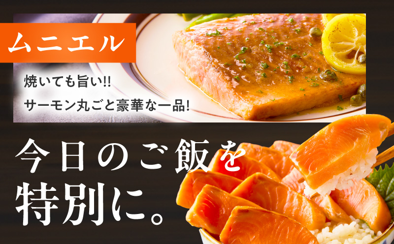 お刺身用 サーモン トラウト 1kg【小分け 約250g×4P ポーション ブロック 柵 訳あり サイズ不揃い さーもん 数量限定 大阪 泉佐野 大阪府 泉佐野市】