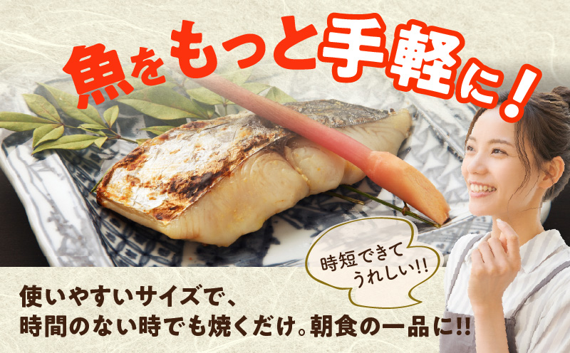 【定期便】さわら 切身 約50g×10切れ 全2回【2026年2月＆2026年5月発送 お弁当サイズ 小分け 漁師 手切り 500g 泉州 鰆 切り身 弁当 朝食 時短 訳あり サイズ不揃い 規格外 冷凍食品】