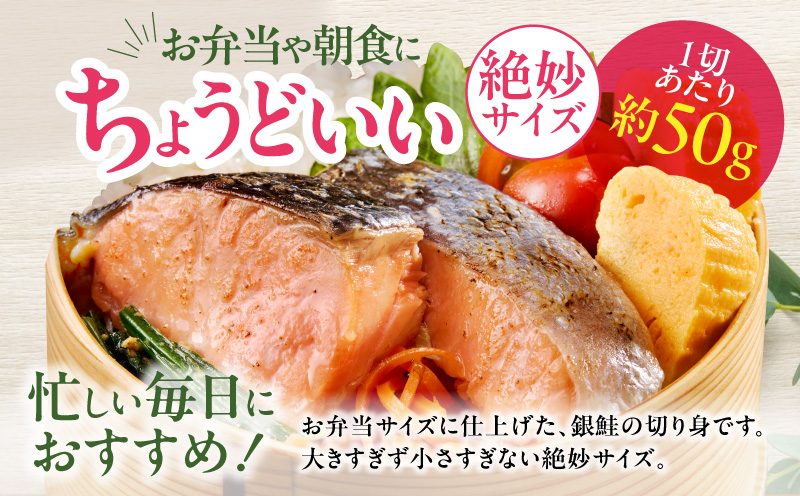 【定期便】銀鮭 切身 約50g×20切れ 全6回【お弁当サイズ 小分け 漁師 手切り 1kg さけ サケ 切り身 弁当 朝食 時短 訳あり サイズ不揃い 規格外 冷凍食品】