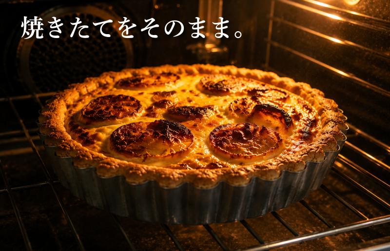 【焼きたての味】とろける玉ねぎと煮穴子のキッシュ（直径18cmホール）【大阪 泉佐野 大阪府 泉佐野市】