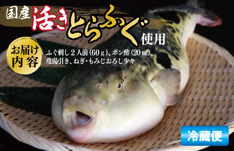 国産活け とらふぐ ふぐ刺し 2人前【てっさ ふぐ フグ ぽん酢付 冷蔵 海鮮】