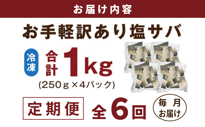 【定期便】塩さば 1kg（250g×4P）全6回【お弁当サイズ 生活応援 サバ 小分け 青魚 塩鯖 塩サバ 切身 塩焼き 焼きさば 焼き鯖 人気 冷凍 冷凍食品 おかず 惣菜 訳あり サイズ不揃い 大阪 泉佐野 大阪府 泉佐野市】