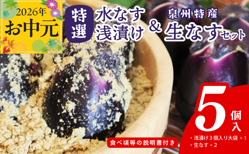 【お中元対応】特選水なす浅漬け＆生なす 5個入り【大阪 泉佐野 大阪府 泉佐野市】