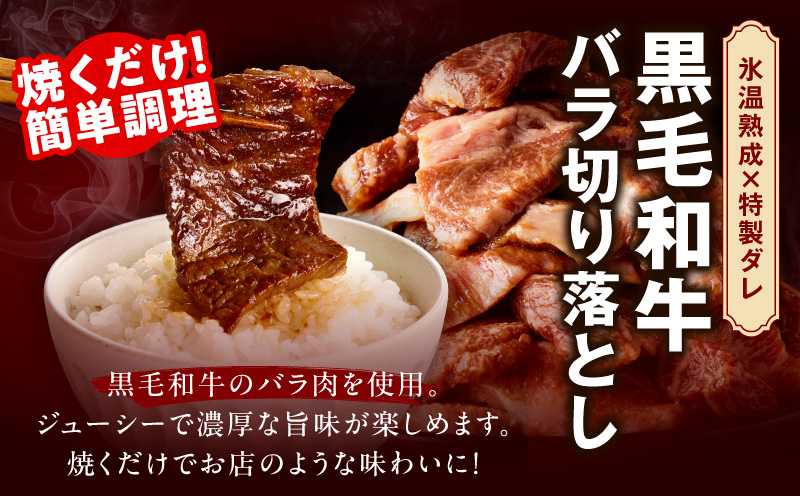 焼肉 福袋 4種セット 定期便 2kg×3回【氷温熟成×特製ダレ 食べ比べ 小分け 500g 牛肉 牛タン ヒレ ハラミ バラ 数量限定 毎月配送コース】