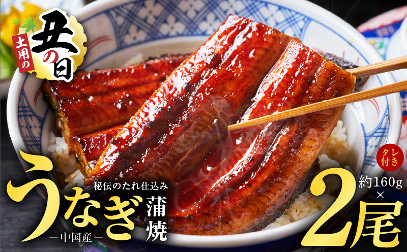 【土用の丑の日までにお届け】うなぎ蒲焼 合計320g【約160g×2尾 特製タレ付 鰻 ウナギ 中国産 レンジ 温めるだけ 簡単調理 ふわふわ 炭火焼き 備長炭 手焼き】