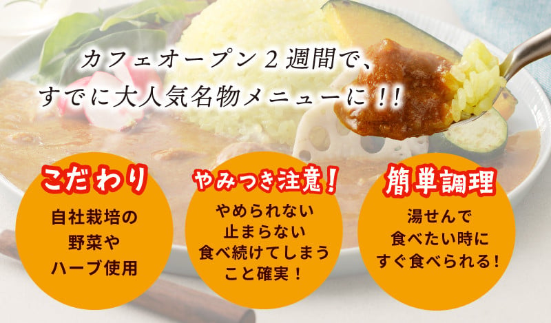 【スピード発送】15種スパイスを使用したSONカフェ特製カレー 200g×5P&玉ねぎのアチャール×1P&キャベツのピクルス×1P いずみピクルス NSW