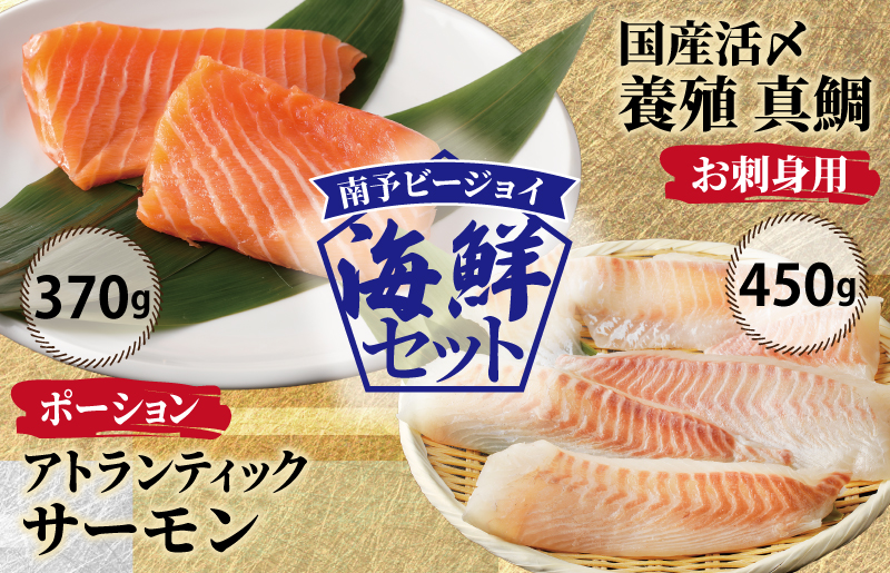 【南予ビージョイ】サーモン＆国産活〆 真鯛  お刺身セット【小分け 訳あり サイズ不揃い 刺身 海鮮丼 人気 オススメ 冷凍】