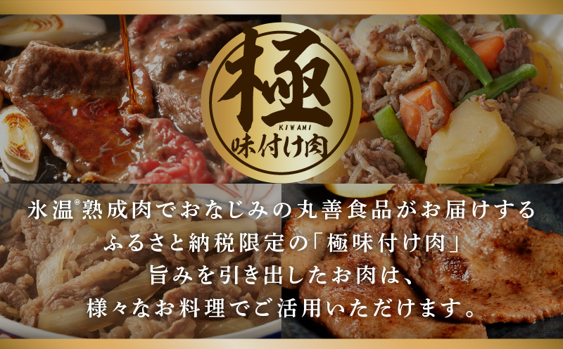 【スピード発送】牛すじ肉 総量 1kg 真空パック 500g×2P【氷温熟成×極味付け 牛肉 お肉 小分け 冷凍 SDGs フードロス カレー 煮込みに】