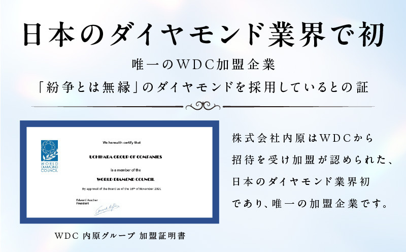 アルカンシェル18金YGダイヤペンダント（計 1.00ct）【鑑別書付き ジュエリー プレゼント ギフト ファッション アクセサリー 贈り物 贈答 お祝い 記念日】