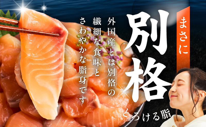 【分けて届く定期便】国産アトランティックサーモン 1kg ポーション【小分け 真空パック 訳あり サイズ不揃い 刺身 海鮮丼 さーもん 鮭 さけ シャケ しゃけ 冷凍 全2回 大阪 泉佐野 大阪府 泉佐野市】