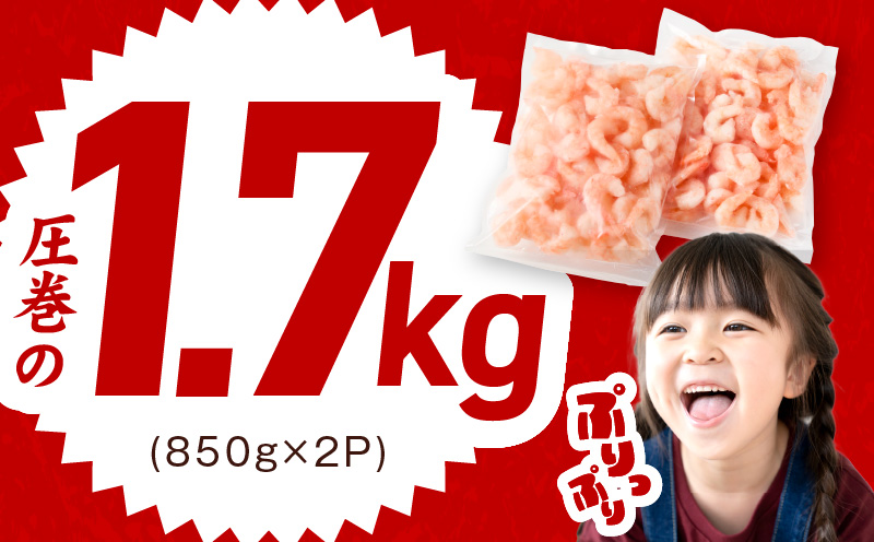 ãåããŠå±ãå®æäŸ¿ããããã³ ç·é 1.7kg ç¹å€§5Lãµã€ãºãäžåŠçäžèŠ å°åã 850gÃ2P èš³ãã ãµã€ãºäžæã ããã¡ã€ãšã ãã©åçµ å
š2å å€§éª æ³äœé 倧éªåº æ³äœéåžã