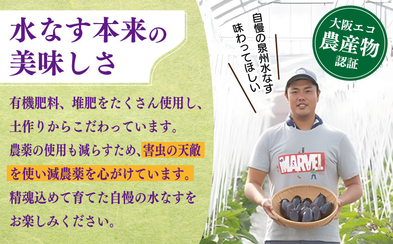 【先行予約】朝採り直送 徳用水なす 15個 訳あり 規格外