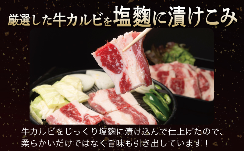 çã·ããã§ãŠïŒã¿ã¬æŒ¬ã+塩麹ïŒïŒå¡©éº¹æŒ¬ãçã«ã«ãã®çŒèã»ãã åèš1.5KgïŒ1è¢250ïœÃå2è¢ïŒ ãå³ä»ã å°åã çŒãã ã ç°¡å調ç BBQ çè ãã«ã¢ã³ 250gÃ6è¢ æ®æ®µäœ¿ãã