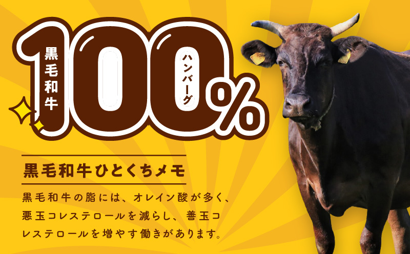 黒毛和牛100％ 極み生ハンバーグ（180g）×20個