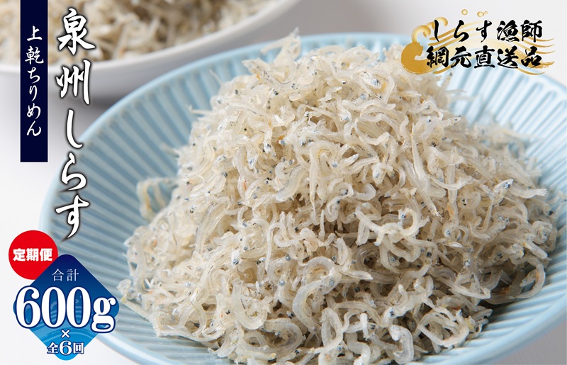 上乾ちりめんしらす 600g×全6回【定期便 小分け シラス しらす sirasu 海鮮 人気 おすすめ 産地直送】