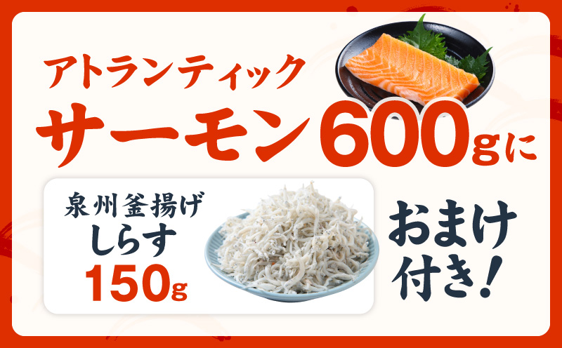 アトランティックサーモン 600g+おまけしらす150g【小分け ポーション 柵切 しらす シラス sirasu 刺身 魚介 海鮮 さーもん 生食 お試し 大阪 泉佐野 大阪府 泉佐野市】