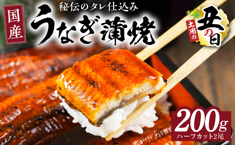 【土用の丑の日までにお届け】国産うなぎ ハーフカット 合計200g【特製タレ付 蒲焼 訳あり 鰻 ウナギ 無頭 炭火焼き 備長炭 手焼き レンジ 温めるだけ 簡単調理】