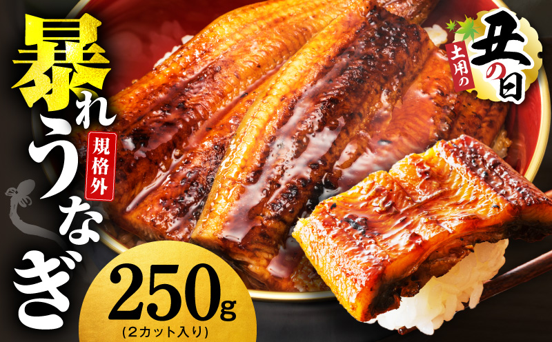 【7/26土用の丑の日】うなぎ 暴れ盛り 250g（2カット）【規格外 お試し 鰻 かば焼き 簡単調理 訳あり サイズ不揃い 人気 惣菜 うな重 うな丼 ひつまぶし】