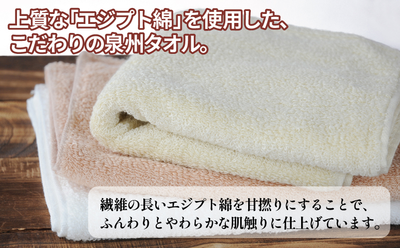 【スピード発送】ナイルフェイスタオル 3枚セット(アソート) エジプト綿 泉州タオル【大阪 泉佐野 大阪府 泉佐野市】