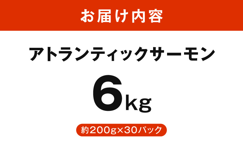 アトランティックサーモン 6kg【小分け 200g×30P 柵切り 刺身 魚介 海鮮 さーもん 生食 お試し】