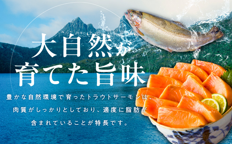 お刺身用 サーモン トラウト 1kg【小分け 約250g×4P ポーション ブロック 柵 訳あり サイズ不揃い さーもん 数量限定 大阪 泉佐野 大阪府 泉佐野市】