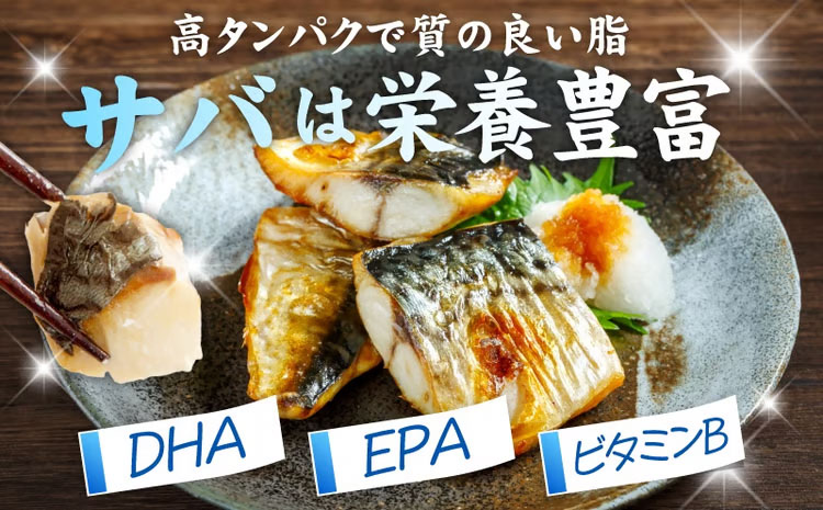 【定期便】塩さば 1kg（250g×4P）全3回【お弁当サイズ 生活応援 サバ 小分け 青魚 塩鯖 塩サバ 切身 塩焼き 焼きさば 焼き鯖 人気 冷凍 冷凍食品 おかず 惣菜 訳あり サイズ不揃い 大阪 泉佐野 大阪府 泉佐野市】