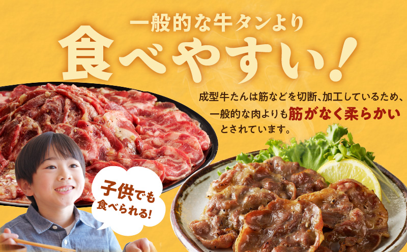 【定期便】ねぎ塩 牛たん（成型）合計 1kg 小分け 250g×4【牛タン 牛肉 焼肉用 薄切り 訳あり サイズ不揃い 2026年3月＆6月発送 全2回】