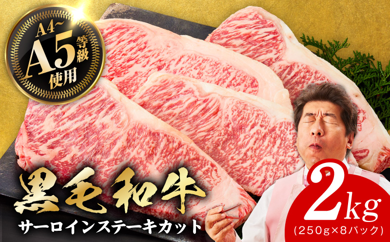 A5/A4ランク 黒毛和牛 サーロインステーキ カット 合計2kg（250g×8P） + 圧倒的企業努力 サーロインステーキ 250g【極味付け肉】