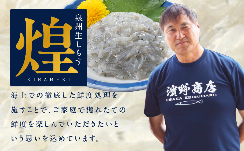 【スピード発送】新物！泉州生しらす「煌（きらめき）」300g【小分け 100g×3P 漁師直送 シラス 国産 無添加 産地直送 sirasu 海鮮 しらす 鰯 イワシ いわし 大阪 泉佐野 大阪府 泉佐野市】