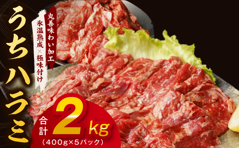 【氷温熟成×特製ダレ】希少部位 牛肉 うちハラミ 2kg（400g×5）