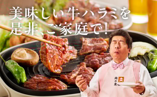 【TVで紹介！】牛ハラミ肉 900g 秘伝の赤タレ漬け【小分け 300g×3P 牛肉 焼肉用 焼くだけ 小分け BBQ やきにく】