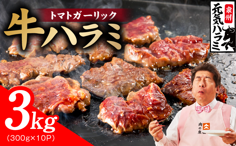 【新登場】トマトガーリック 牛ハラミ肉 3kg（300g×10P）【牛肉 はらみ 小分け 焼肉 お弁当 BBQ 訳あり ワケアリ わけあり サイズ不揃い 規格外 TVで話題 大阪 泉佐野 大阪府 泉佐野市】