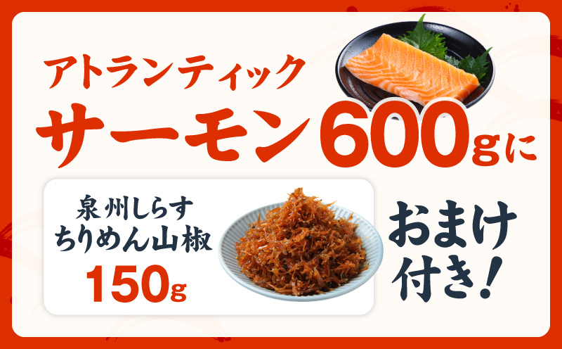 アトランティックサーモン 600g+おまけちりめん山椒150g【小分け ポーション 柵切 ちりめん 刺身 魚介 海鮮 さーもん 生食 お試し】