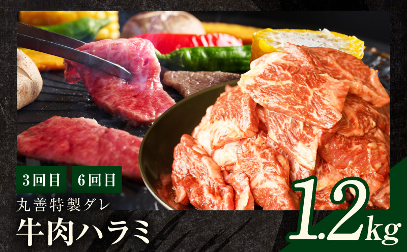 焼肉定期便 総量6.8kg（肩ロース／牛タン／牛ハラミ）全6回 丸善味わい加工【毎月発送コース】