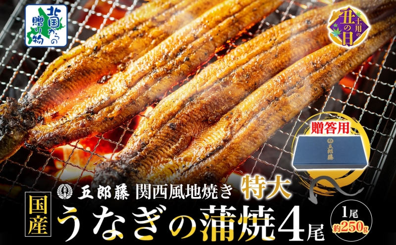 【7/26土用の丑の日】＜贈答用＞国産有頭旨鰻 250g×4尾 特大サイズ【関西風地焼き 老舗 五郎藤 うなぎ 1kg 小分け unagi ひつまぶし 簡単調理】