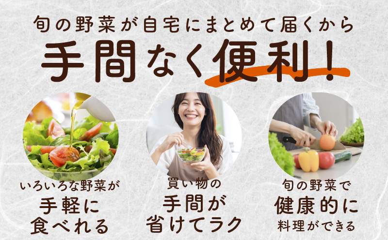 泉州野菜 定期便 15種類以上×全4回【毎月配送 国産 野菜 やさい 詰め合わせ セット 新鮮 旬 ええもん ていきびん】