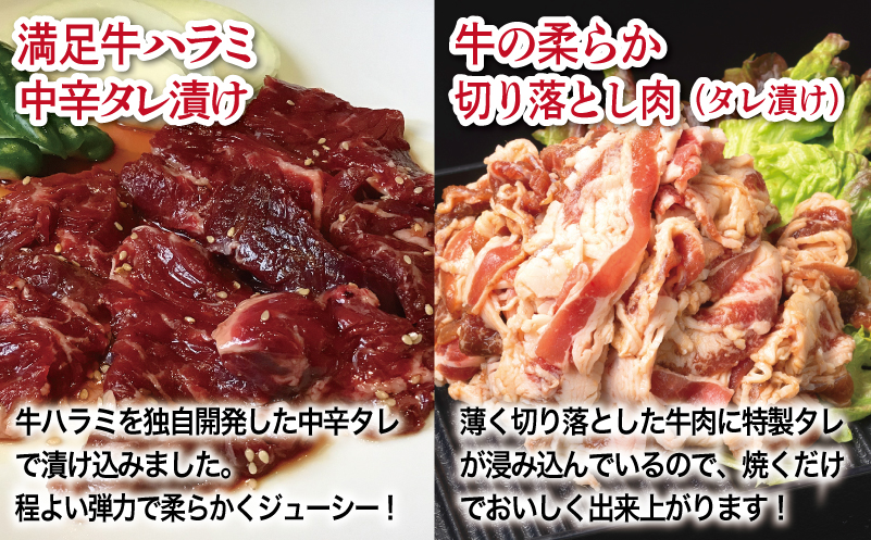 【タレ漬け牛肉2種セット】 満足牛ハラミ・牛肉切り落とし 合計4.5kg 【味付け ハラミ 小分け 焼くだけ 簡単調理 BBQ 牛肉 250g×各9P 普段使い】