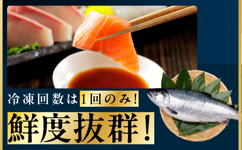 極上 アトランティックサーモン 1kg【ノルウェー産 2～5柵 訳あり サイズ不揃い 上質 刺身 海鮮丼 サラダ 冷凍 物価高応援】